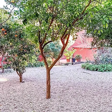 Apartment Liguria Garden Olbia